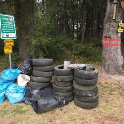 Do Krušnohorského úklidu se zapojily desítky dobrovolníků