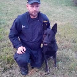 Dolní Rychnov: Jednoho z pachatelů vypátral policejní pes Jeff