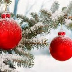 Dolní Rychnov: Obec zve na Vánoční jarmark