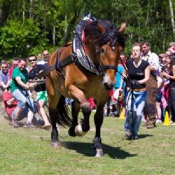 Ekofarma Kozodoj zve na oblíbené bioslavnosti