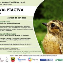 Festival ptactva s exkurzí a komentovanou prohlídkou na Soosu