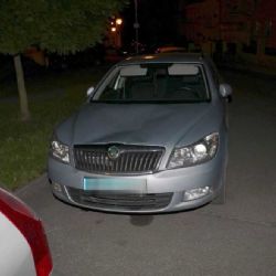 Františkovy Lázně: Bavil se chůzí po zaparkovaných vozidlech