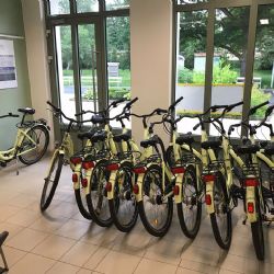 Františkovy Lázně budou blíž Chebu