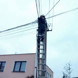 Františkovy Lázně: Hasiči zachránili kočku ze sloupu elektrického vedení