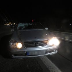 Františkovy Lázně: Kriminalisté hledají svědky tragické nehody