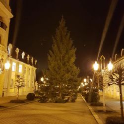 Františkovy Lázně: Město se již pyšní vánočním stromem