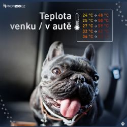 Františkovy Lázně: Nechal psa v autě. Venku bylo 31 stupňů