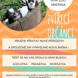 Františkovy Lázně: Přijďte tuto neděli přivítat nové přírůstky do mini zoo Amerika