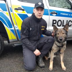 Františkovy Lázně: Služební pes objevil zloděje ukrytého ve křoví