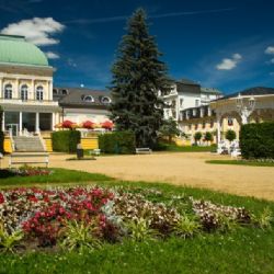 Františkovy Lázně: Poznejte jarní květenu