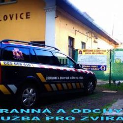 Habartov: Psí problematika očima profesionála