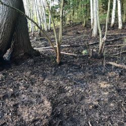 Hasiči likvidují požár u žlutické přehrady