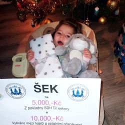 Hasiči předali Nelince 15 tisíc korun