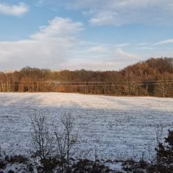 Hazlov: Přírodní rezervace U cihelny