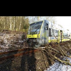 Hazlov: Vlak narazil do stromu