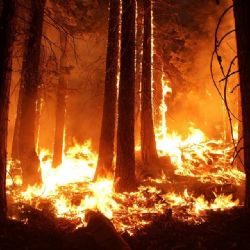 Hejtmanka vyhlašuje dobu zvýšeného nebezpečí vzniku požárů na území regionu