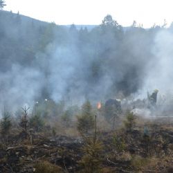 Hořící les pomáhal hasit i vrtulník