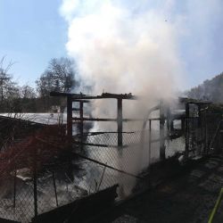 Horní Lažany, Mechová: Dnes byl vyhlášen II. stupeň požárního poplachu