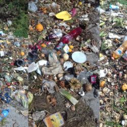 Horní Slavkov: Mnoho lidí stále neví, co patří do bioodpadu