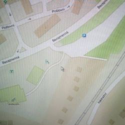 Horní Slavkov: Pejskaři pozor! Otrava pejska návnadou