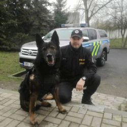 Horní Slavkov: Policejní pes Adag objevil odcizené pneumatiky