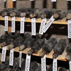 Hrad a zámek Bečov nad Teplou ukrývá tekutý poklad