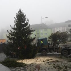 Hranice: Instalace vánočního stromku
