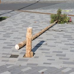 Hranice: Májka padla. Zoufalost nebo tradice?