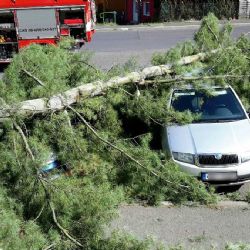 Hranice: Na několik zaparkovaných aut spadl strom