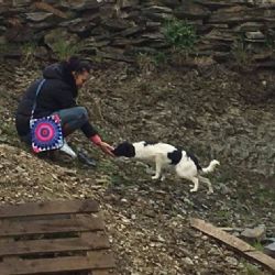 Hranice: Zachráněná němá tvář