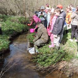 Hranicko: Ekoškola vysadila pstruhy
