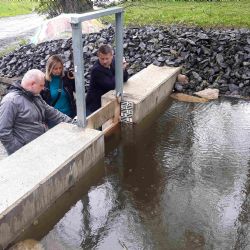 Hrušková: Zarostlá nádrž se změnila k nepoznání