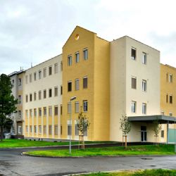 Interní i onkologické oddělení chebské nemocnice zůstanou otevřená 