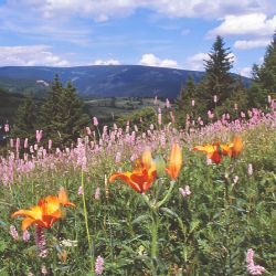 Jáchymov: Muzeum zve na přednášku Půlstoletí v Krušných horách