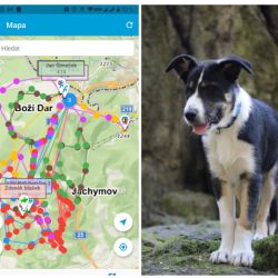 Jáchymov: Pátrací akce po zbloudilé turistce