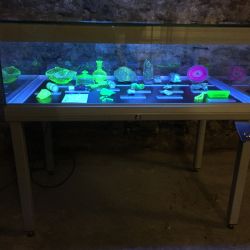 Jáchymov: Stálá expozice v muzeu byla rozšířena o svítící minerály 