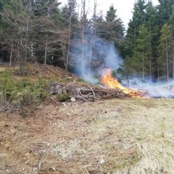 Jáchymov: Vyhlášen byl druhý stupeň požárního poplachu