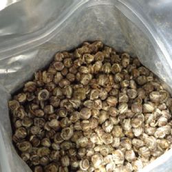 Jasmínový čaj z Číny obsahoval čtyři druhy pesticidů