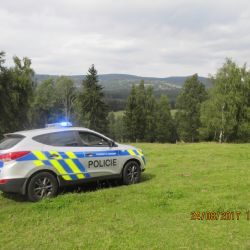 Jindřichovice: V lese u obce se ztratili houbaři