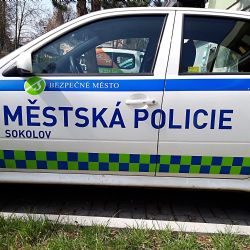 Jízda v nákupních košících, skákání školáků před projíždějící vozidla či divoká prasata. To vše a mnohem více řešila MP Sokolov