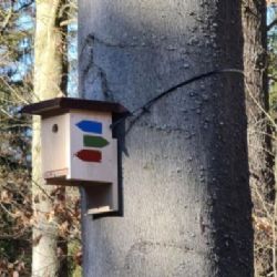 Karlovarsko: Běžecké trasy v lesích vyznačují budky