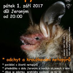 Karlovarsko: Důl Jeroným a hrad Bečov zvou na Netopýří noc