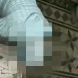 Karlovarsko: Odcizili na dvě stovky rohlíků a housek