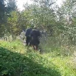 Karlovarsko: Pohřešovanou ženu našel policista v době svého volna