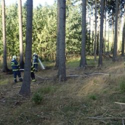 Karlovarsko: Rozdělal v lese oheň. Požár likvidovaly dvě jednotky hasičů