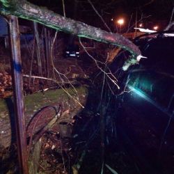 Karlovarsko: Včera hasiči odstraňovali popadané stromy