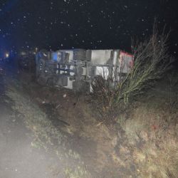 Karlovarsko: Vyhýbal se srně. Škoda přes 1,5 milionu korun