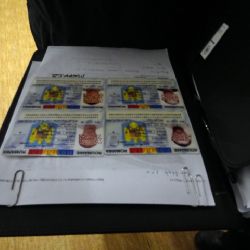 Karlovarský kraj: Čtyři cizinci se prokázali padělanými doklady