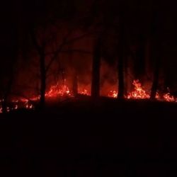 Karlovarský kraj: Hasiči zasahovali u několika lesních požárů