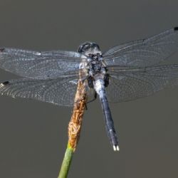 Karlovarský kraj se může pochlubit novým chráněným územím 
